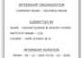 do professional data analysis and visualization using python pandas and machine